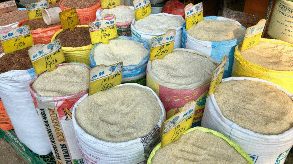 Grains & Cereals: Includes various grades of rice (basmati, parboiled, jasmine, long grain), wheat, corn (maize), barley, and oats. Selected for nutritional value, shelf stability, and market demand.